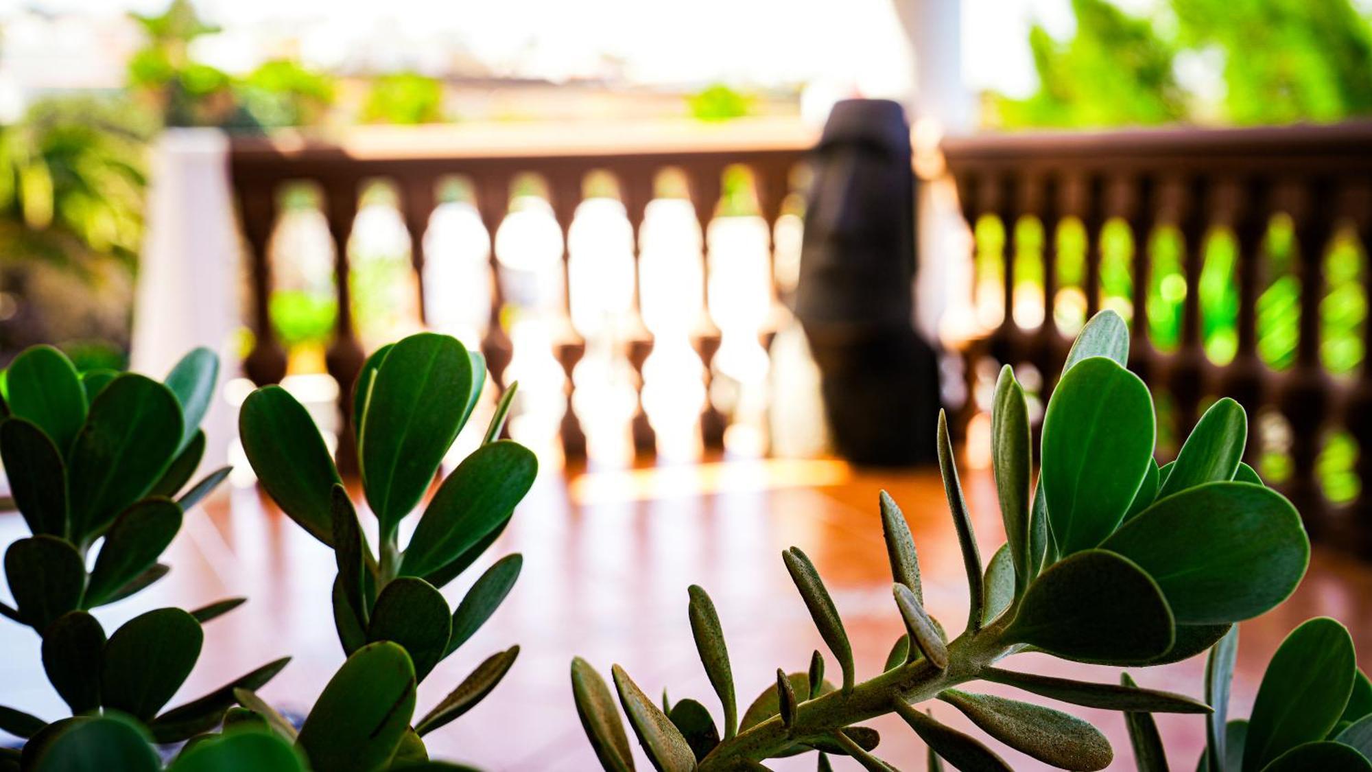Villa Azul Fuerteventura Villaverde  Εξωτερικό φωτογραφία