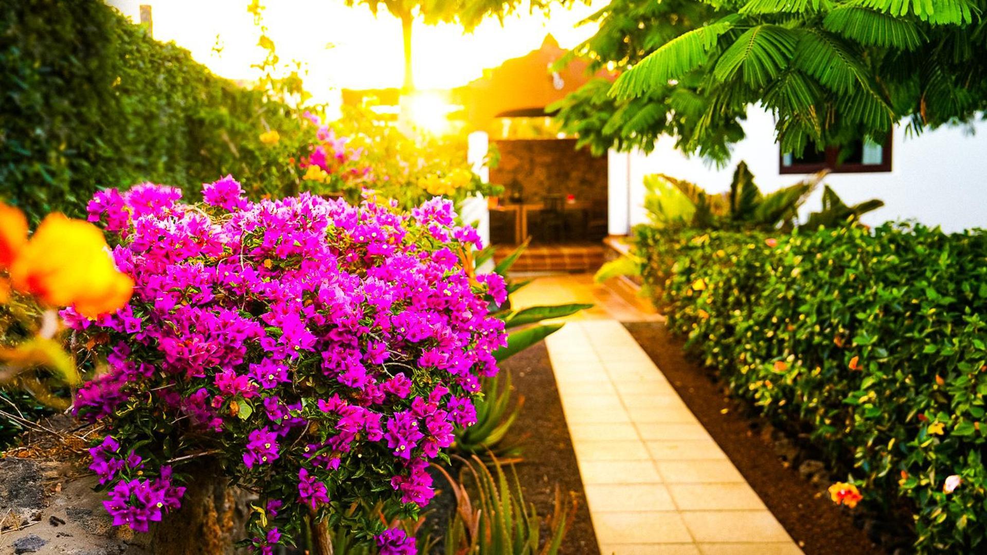 Villa Azul Fuerteventura Villaverde  Εξωτερικό φωτογραφία