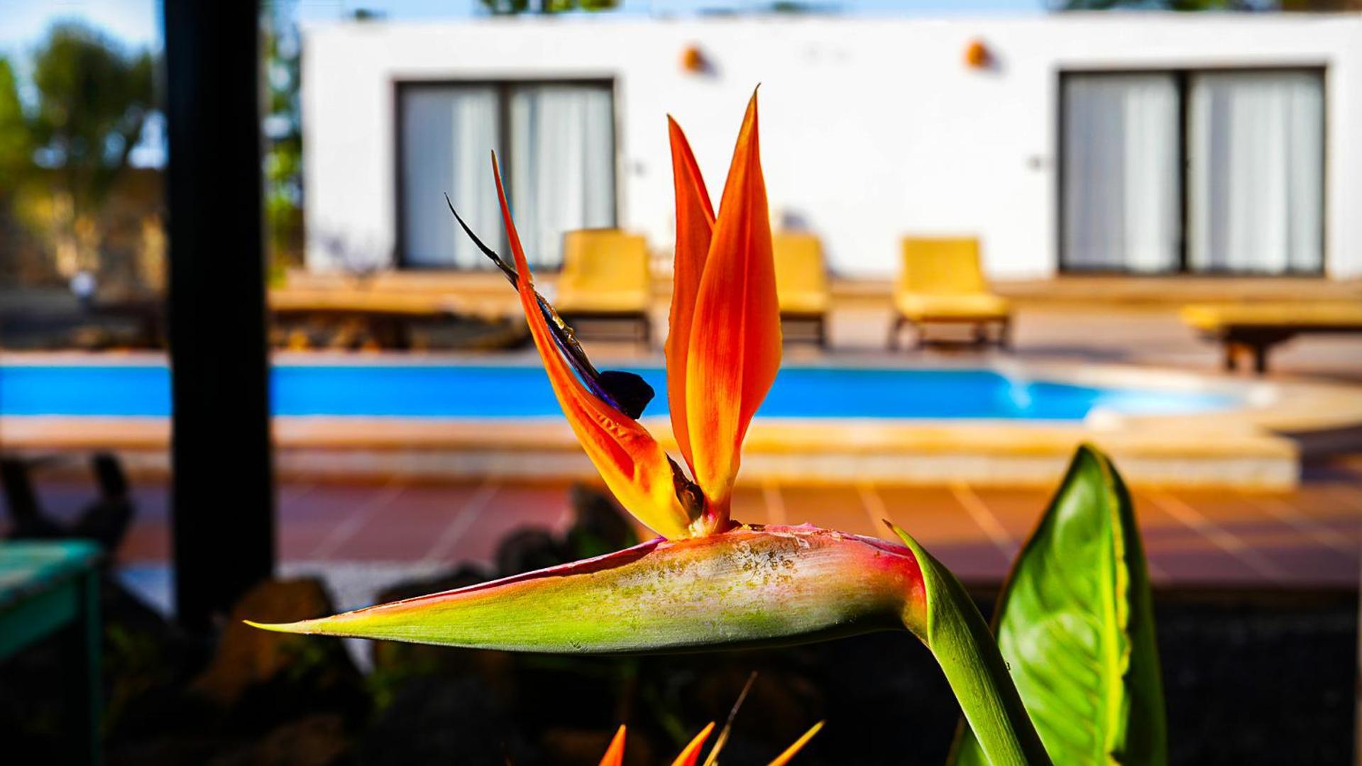 Villa Azul Fuerteventura Villaverde  Εξωτερικό φωτογραφία